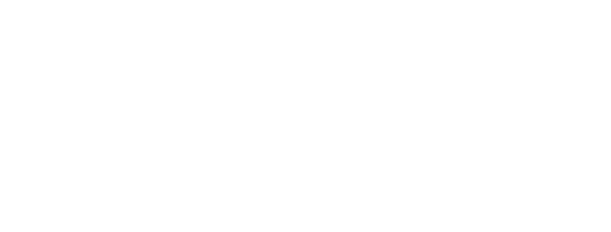 Mestro - Distribuidor de Carne Bovina